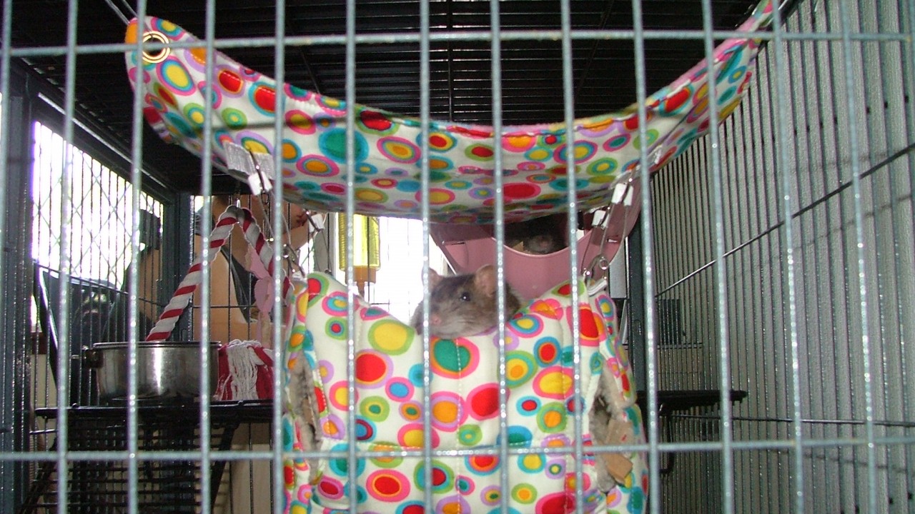 dscf6512.jpg