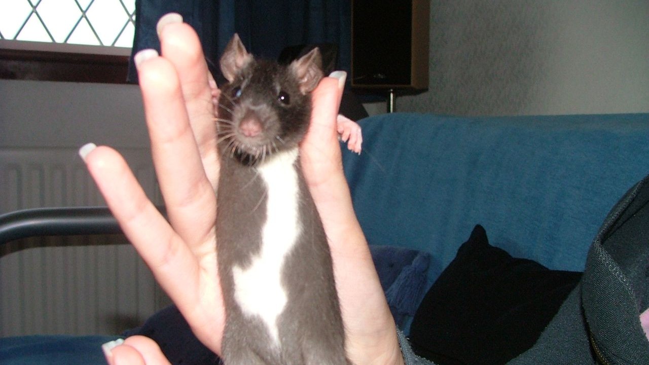 DSCF3659.JPG