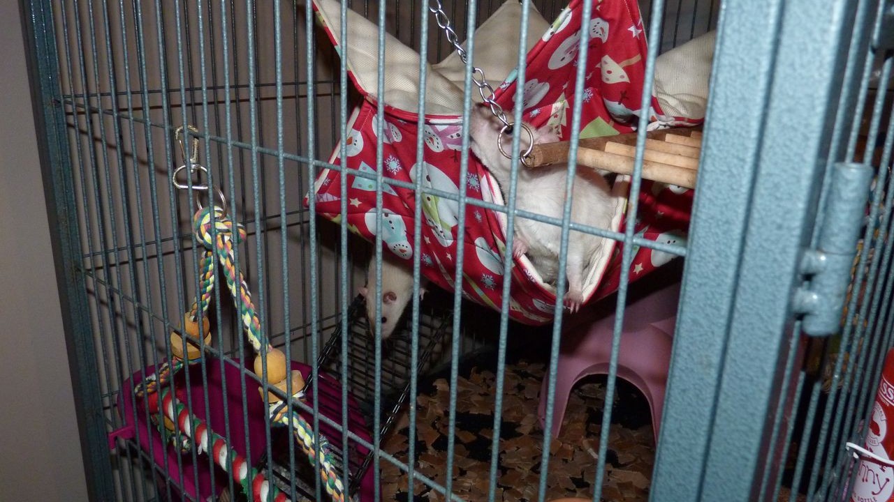 P1040433.JPG