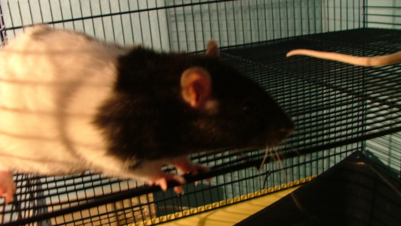 DSCF1512.JPG
