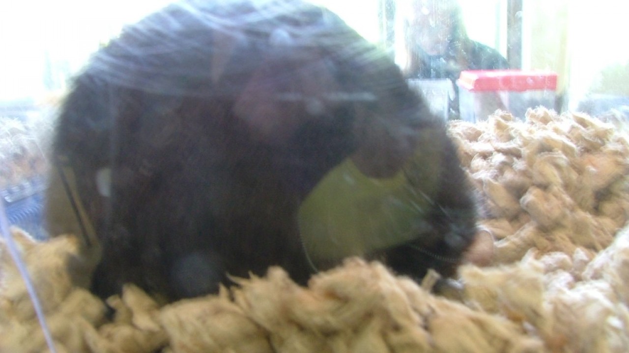 DSCF4041.JPG