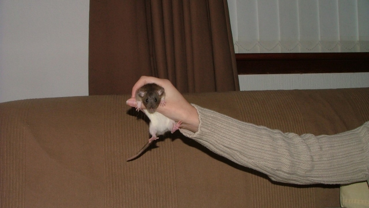 dscf6658.jpg
