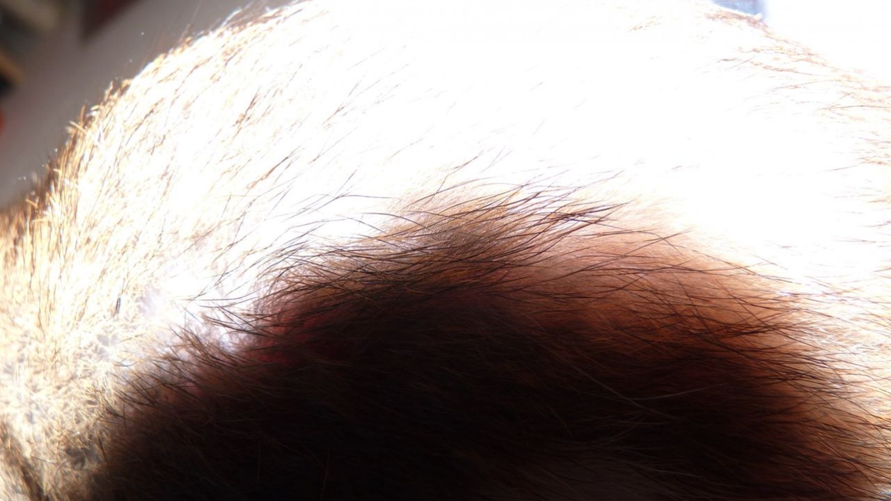 P1020455.JPG