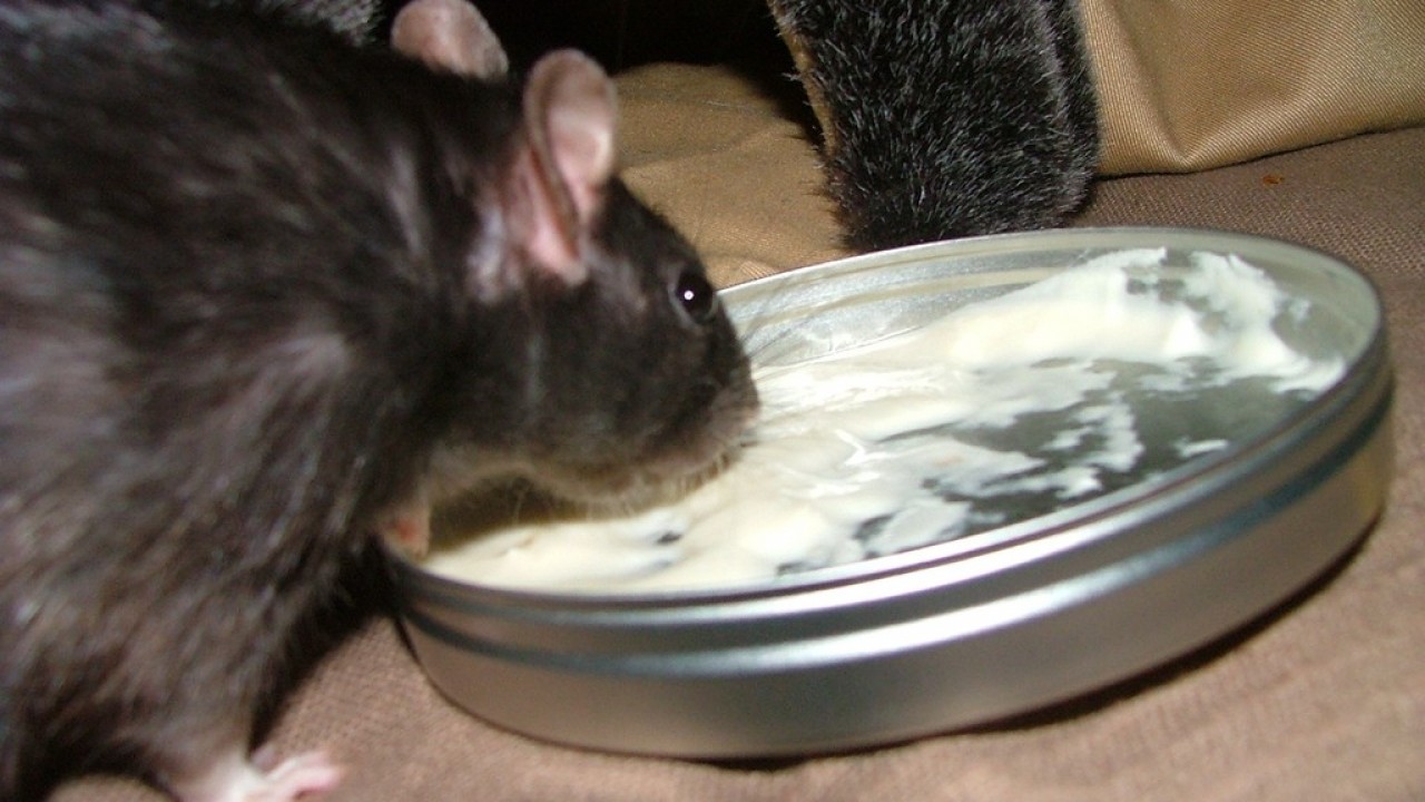 DSCF4754.JPG