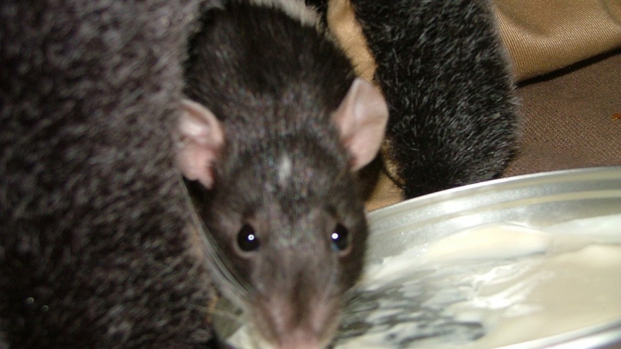 DSCF4746.JPG