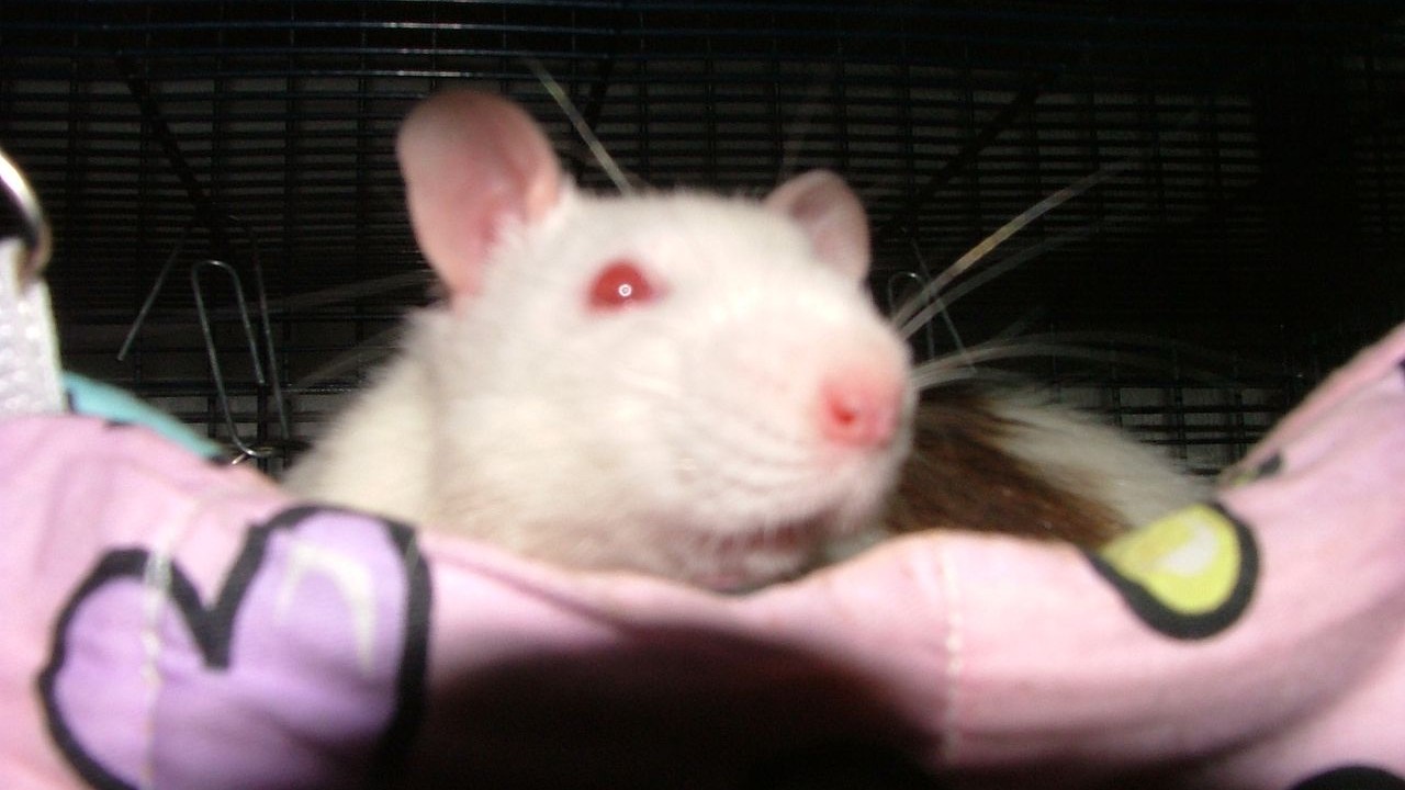 DSCF6689.JPG