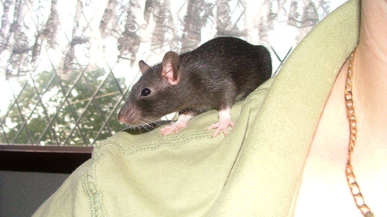 DSCF3662.JPG