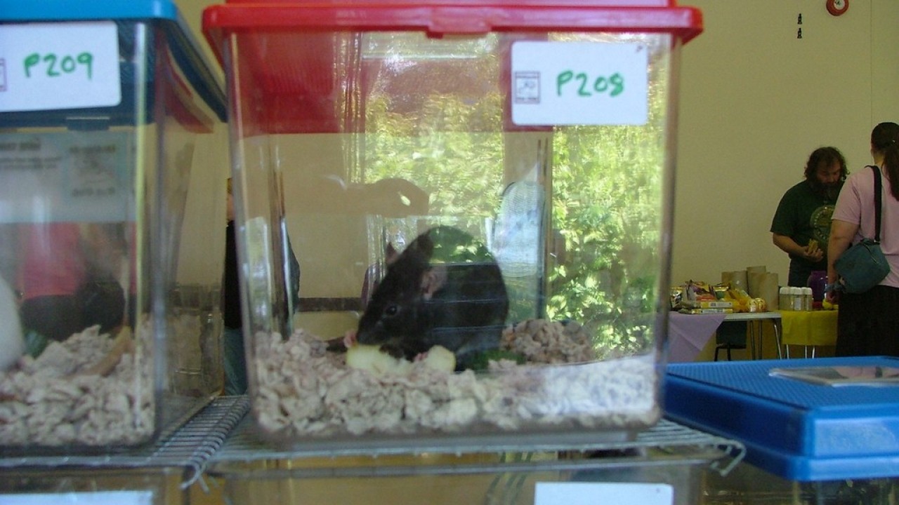 DSCF4033.JPG