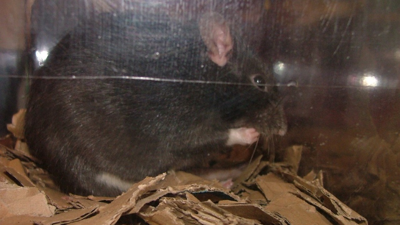 DSCF4187.JPG