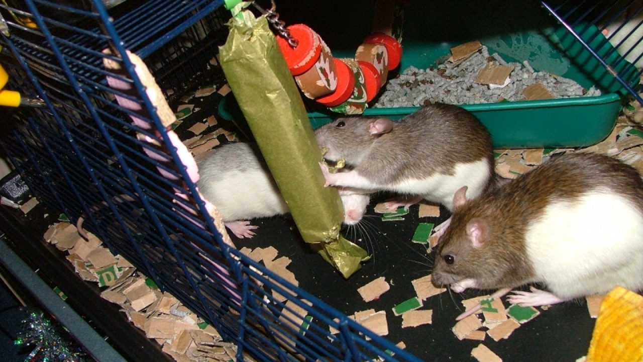 dscf6733.jpg