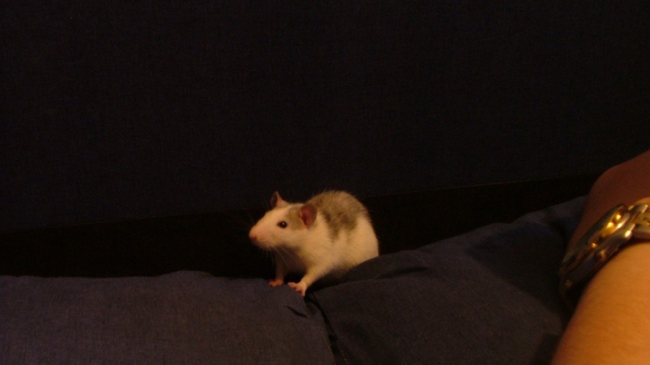 DSCF1504.JPG