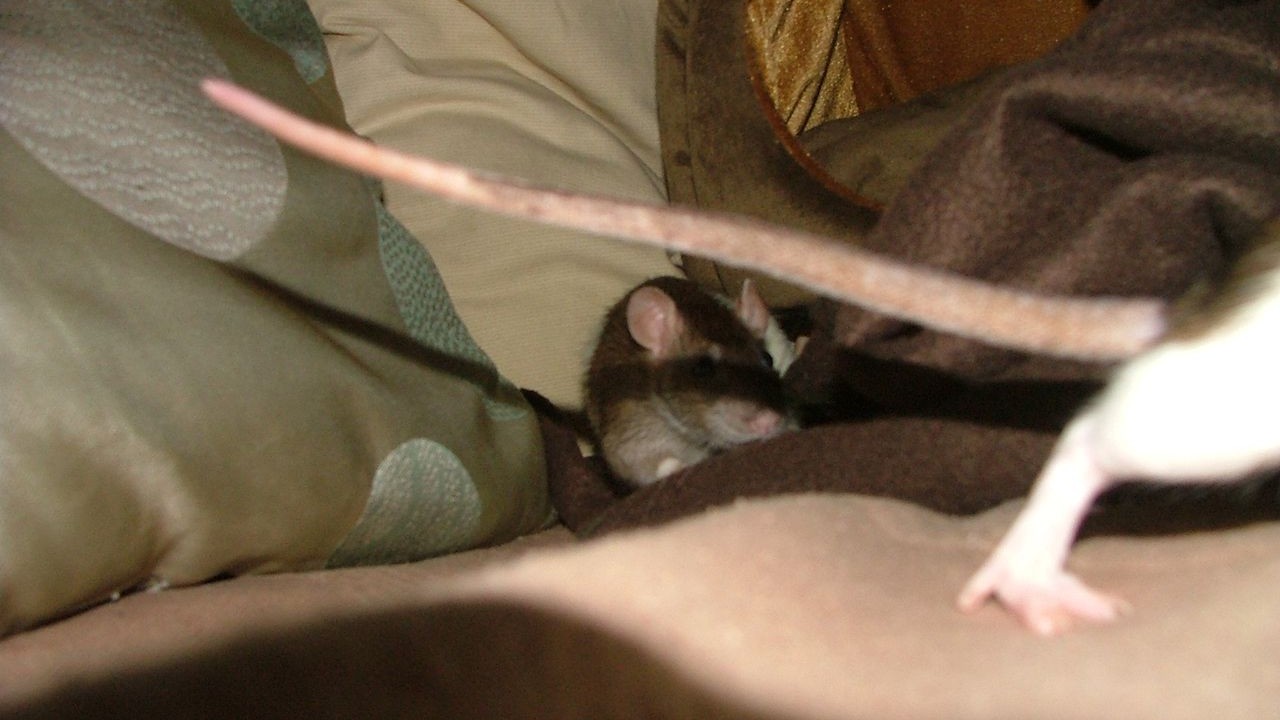 DSCF6761.JPG