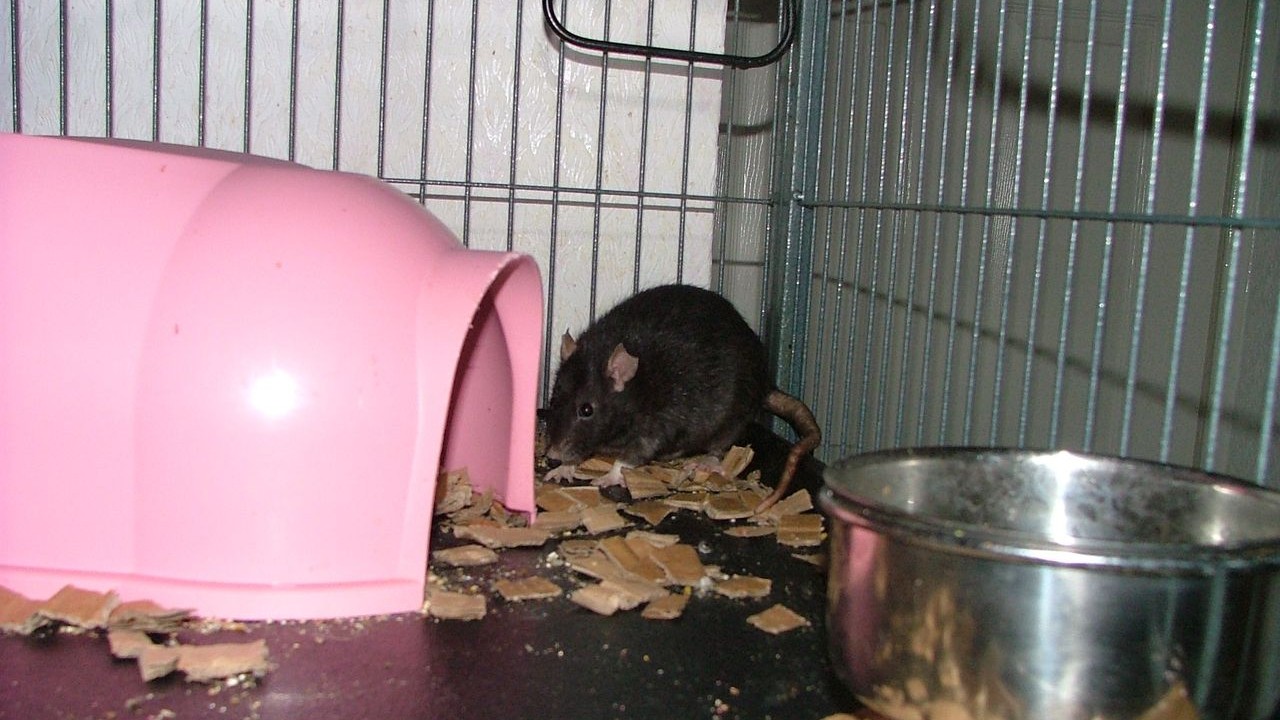 DSCF5701.JPG