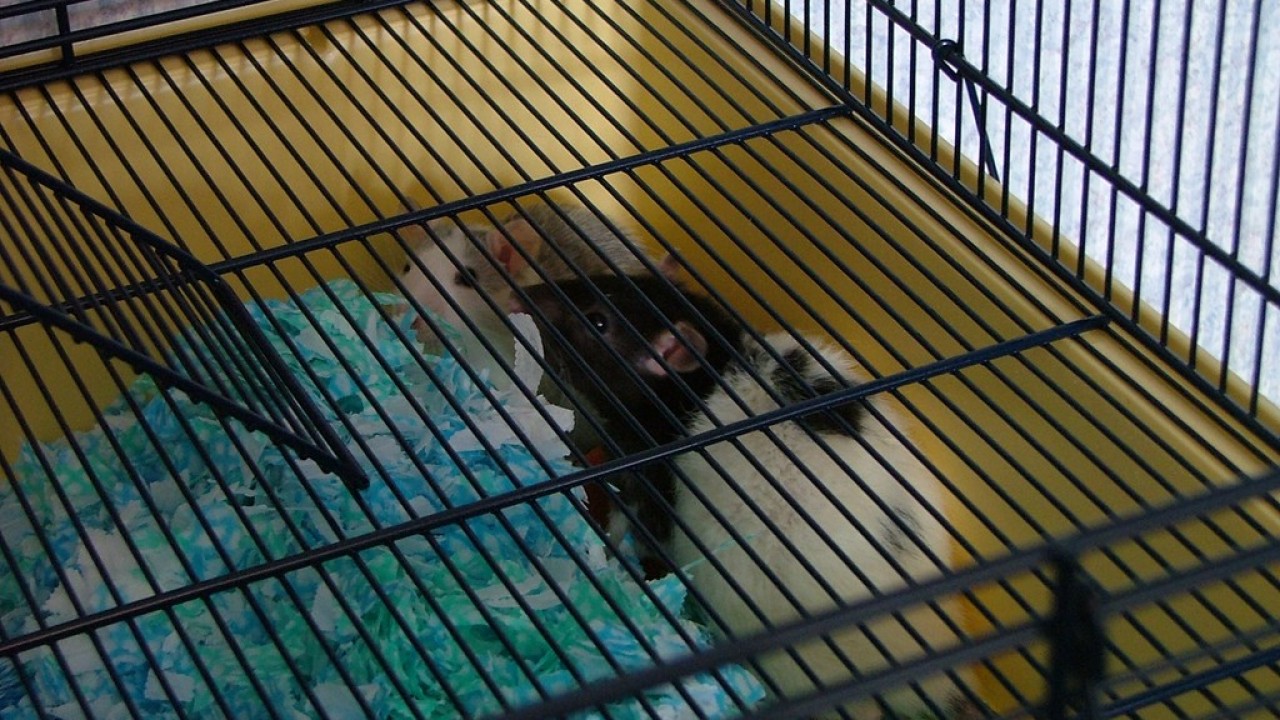 DSCF1494.JPG