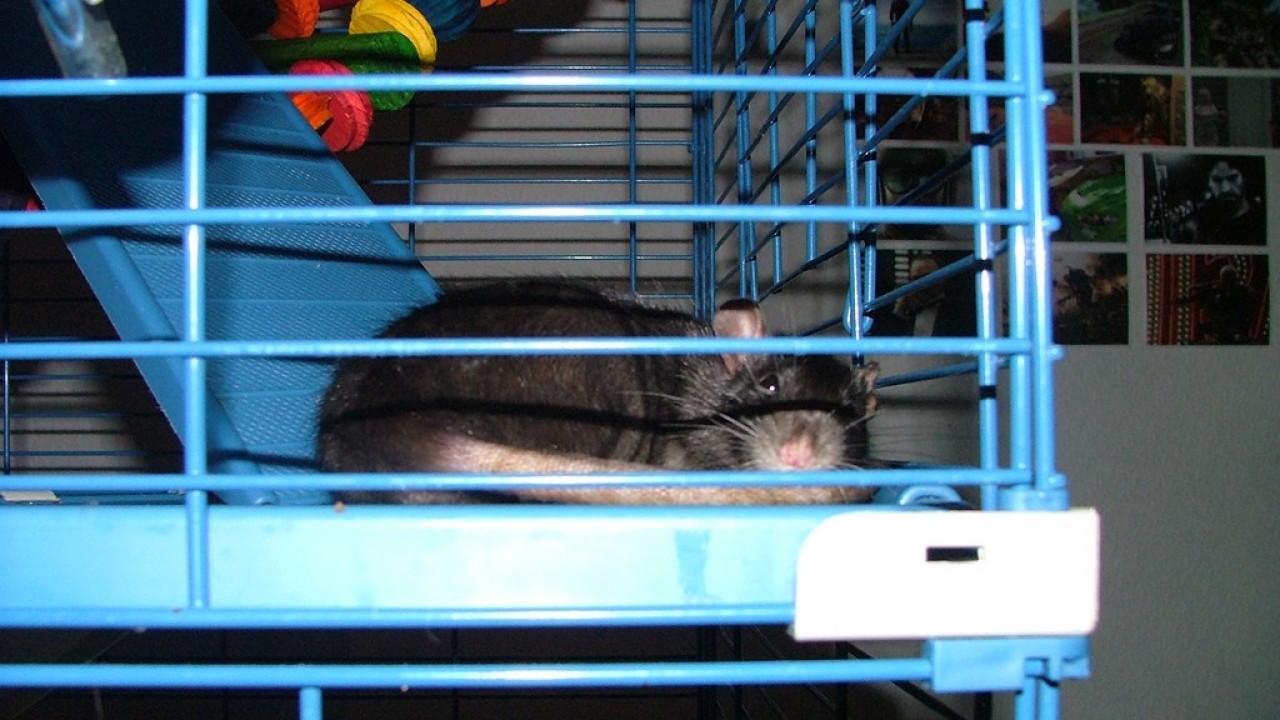 DSCF3777.JPG