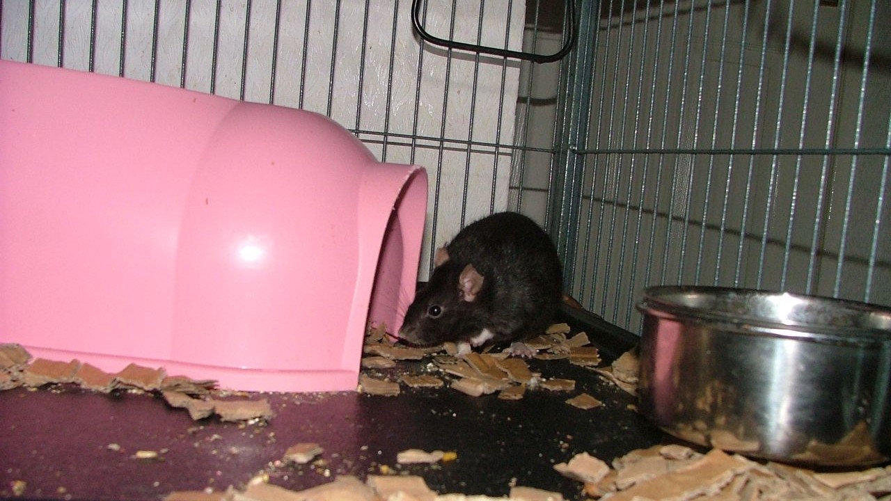 DSCF5702.JPG