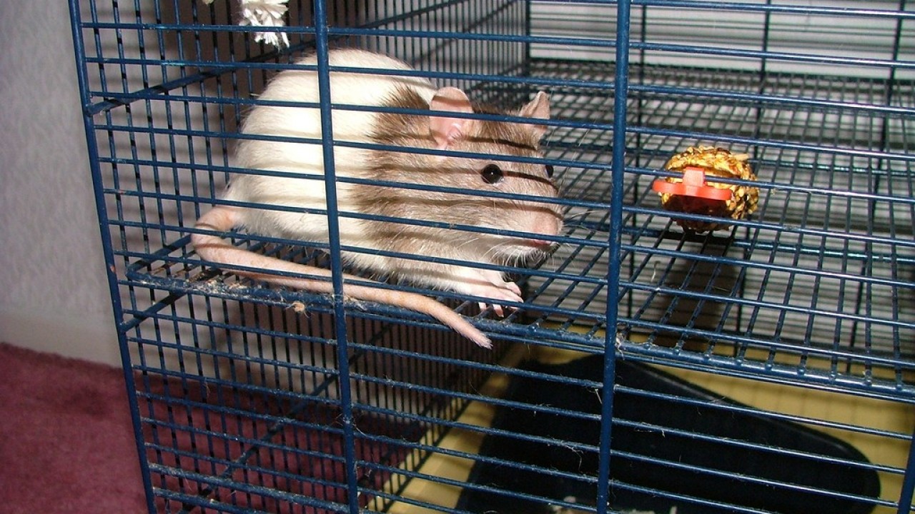 dscf3660.jpg