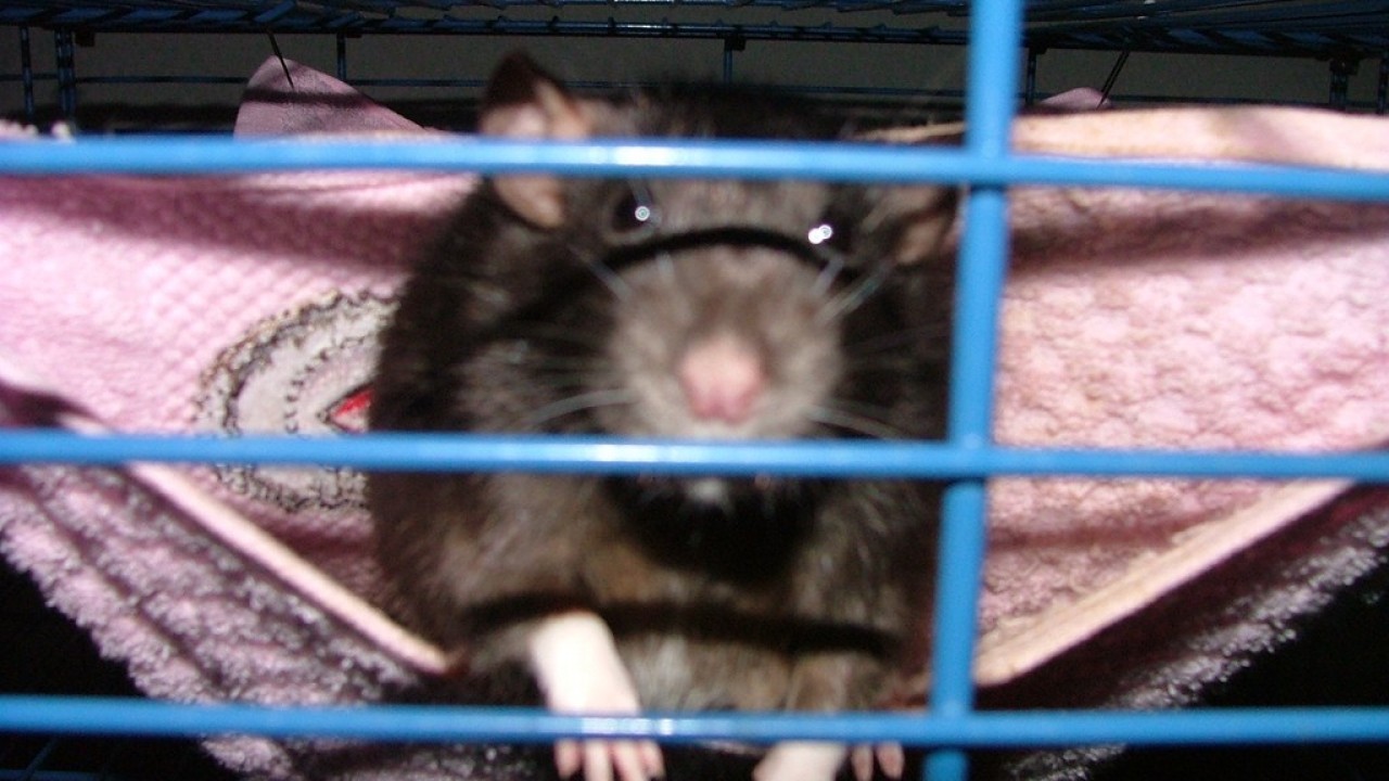 DSCF3889.JPG