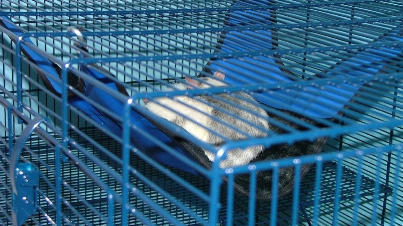 DSCF1516.JPG