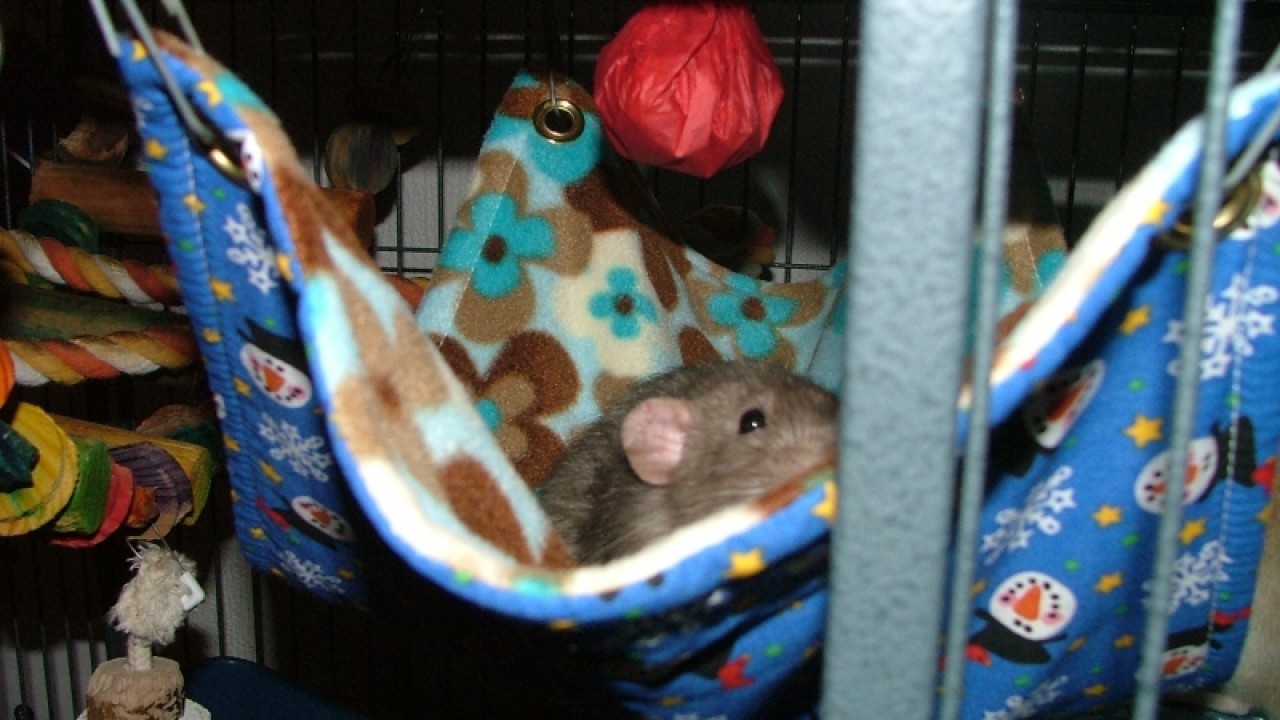 dscf6735.jpg