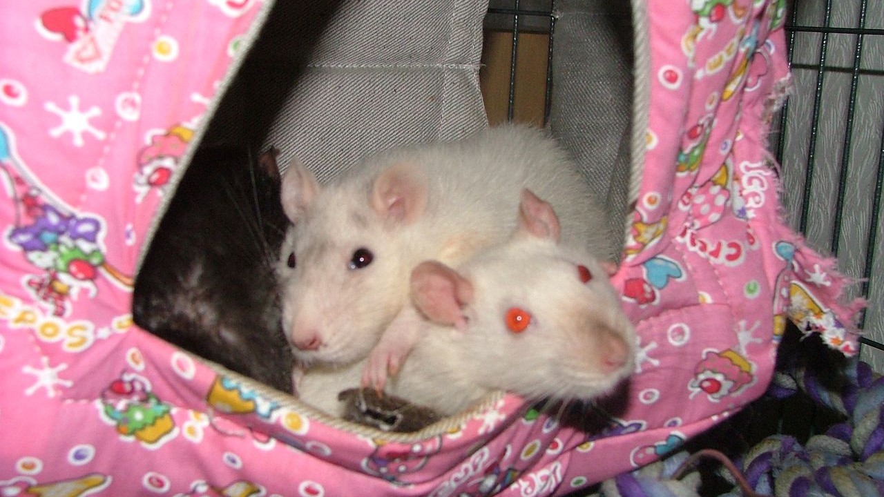 DSCF5670.JPG