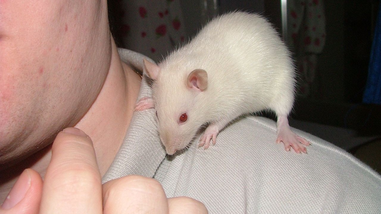 DSCF3873.JPG