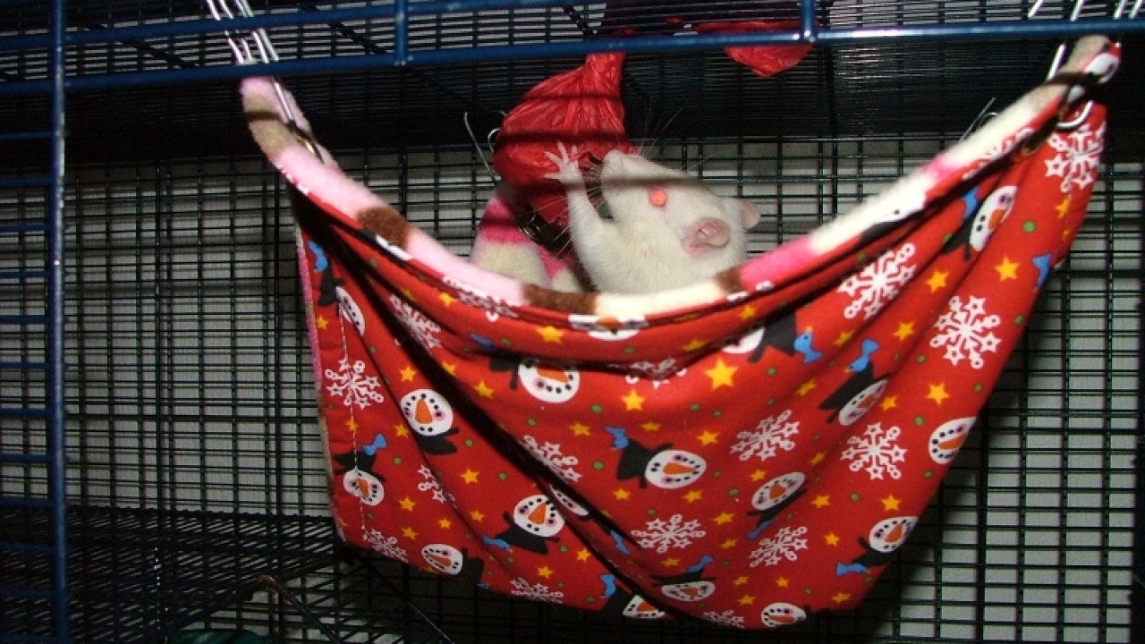 dscf6731.jpg