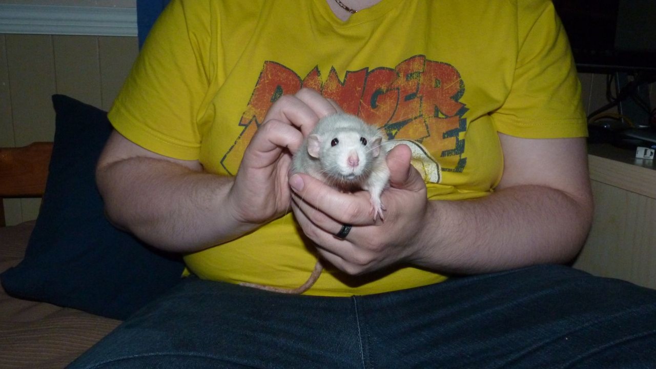P1000391.JPG
