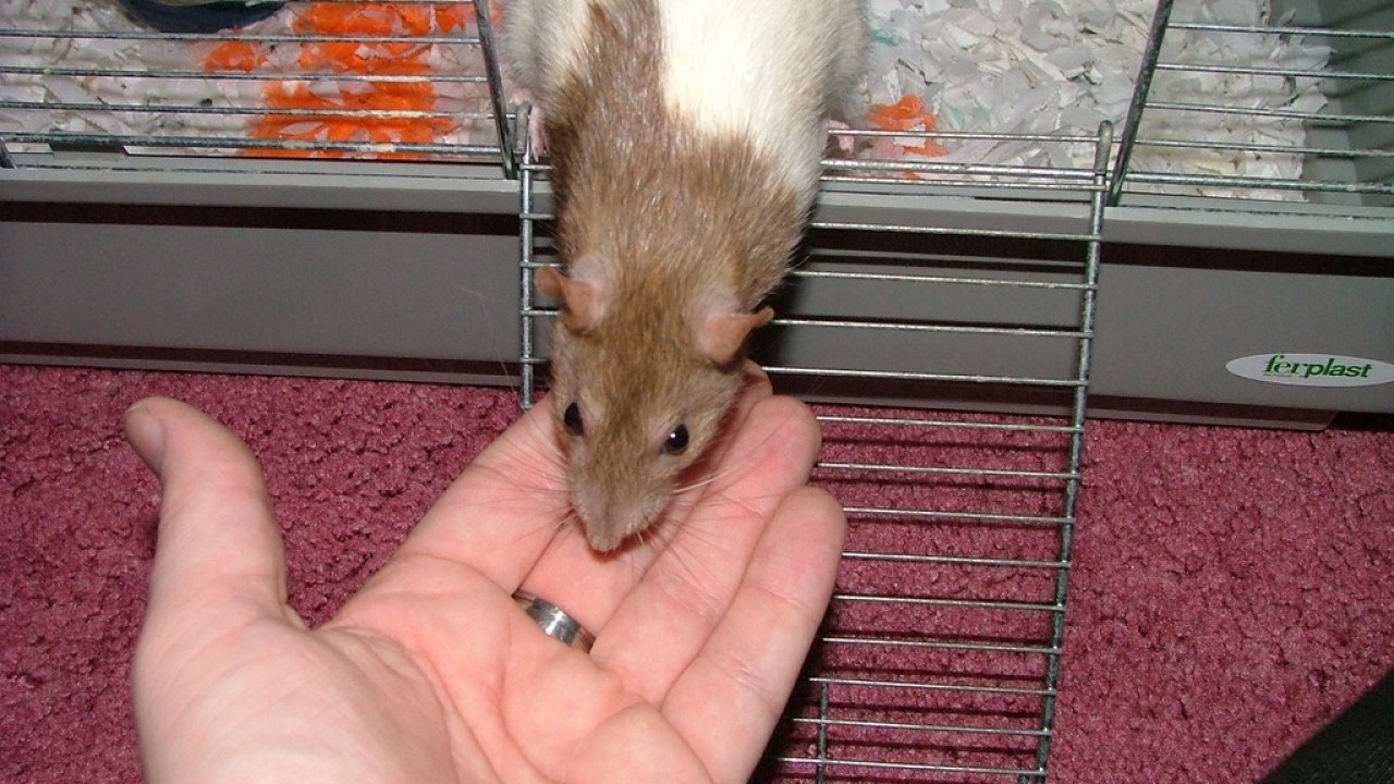 DSCF3143.JPG