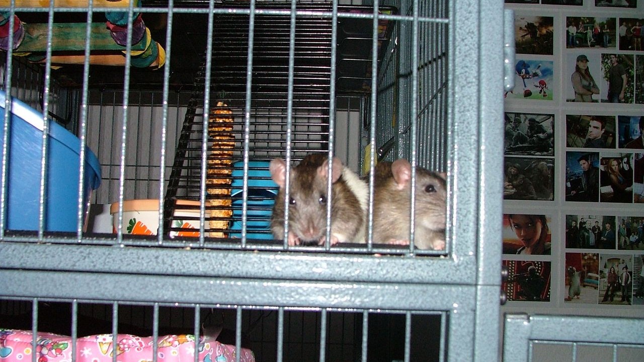 DSCF5686.JPG
