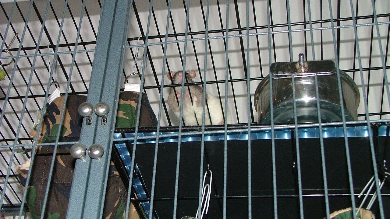 DSCF6695.JPG