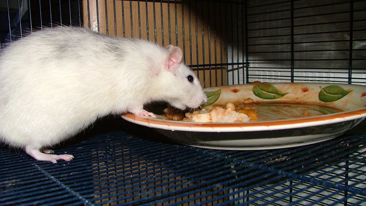 DSCF2975.JPG