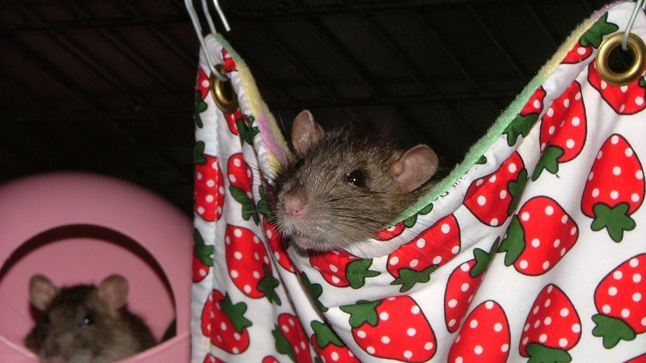 DSCF6622.JPG