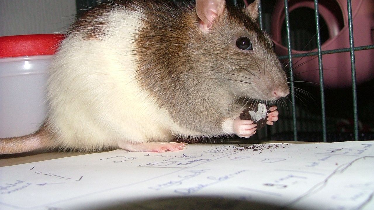 DSCF6630.JPG