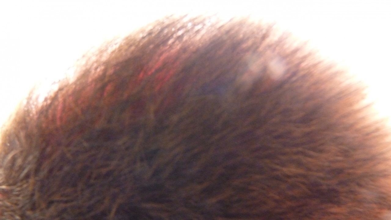 P1020456.JPG