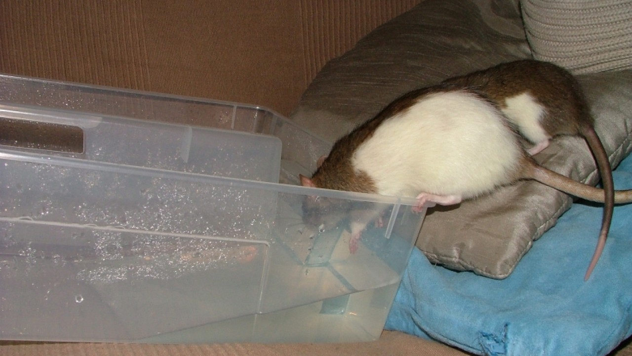 dscf6660.jpg
