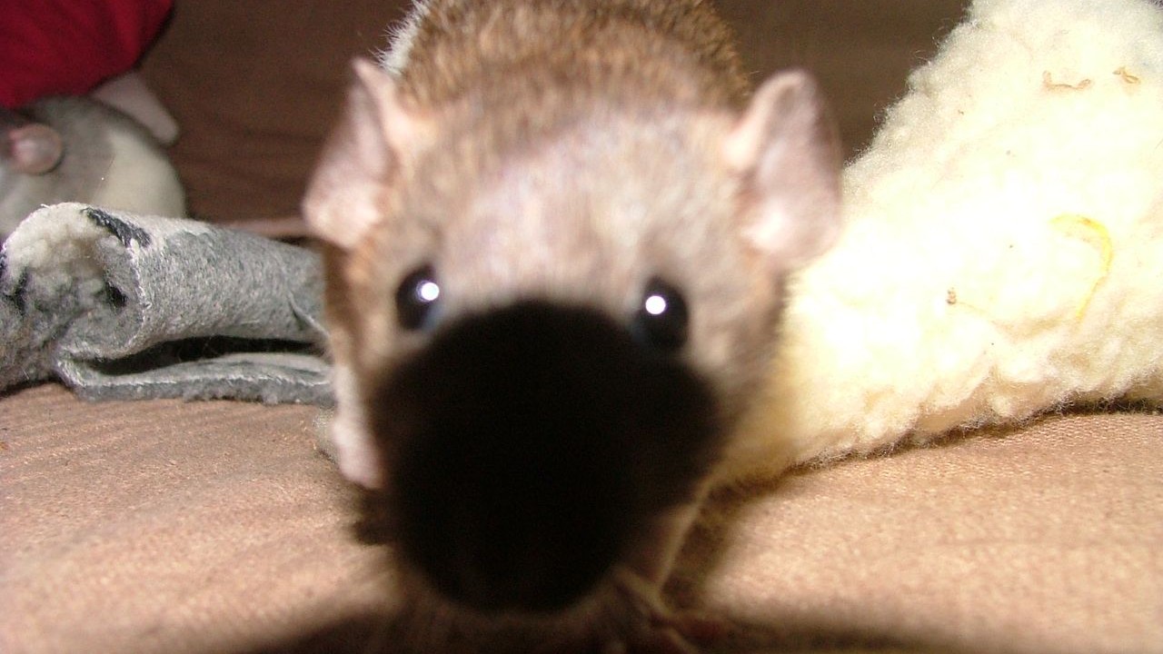 DSCF6642.JPG