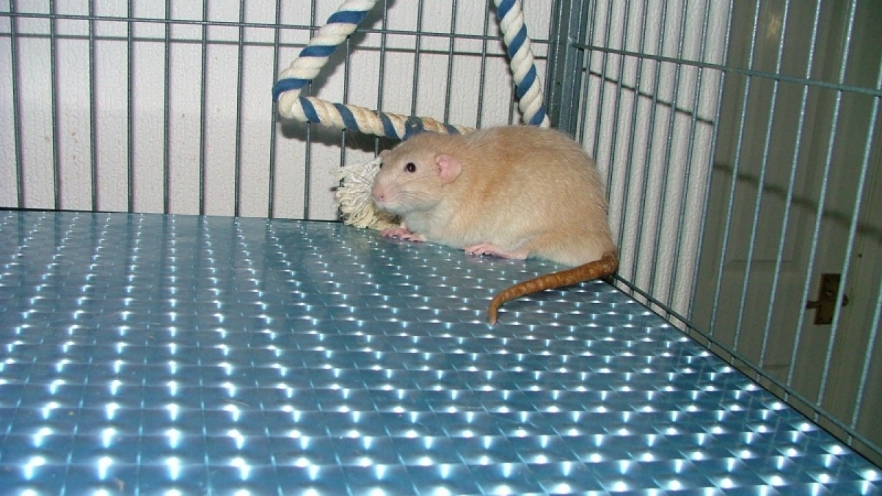 dscf6740.jpg
