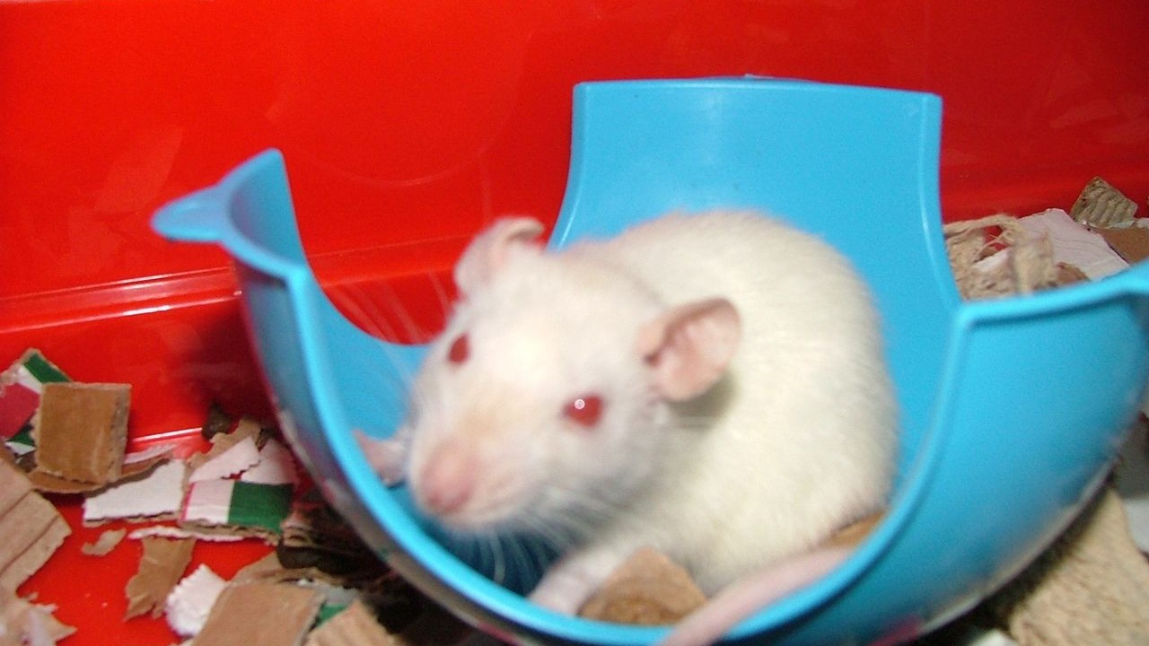 DSCF3811.JPG