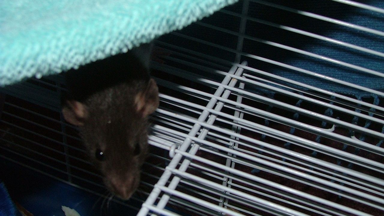 DSCF3668.JPG