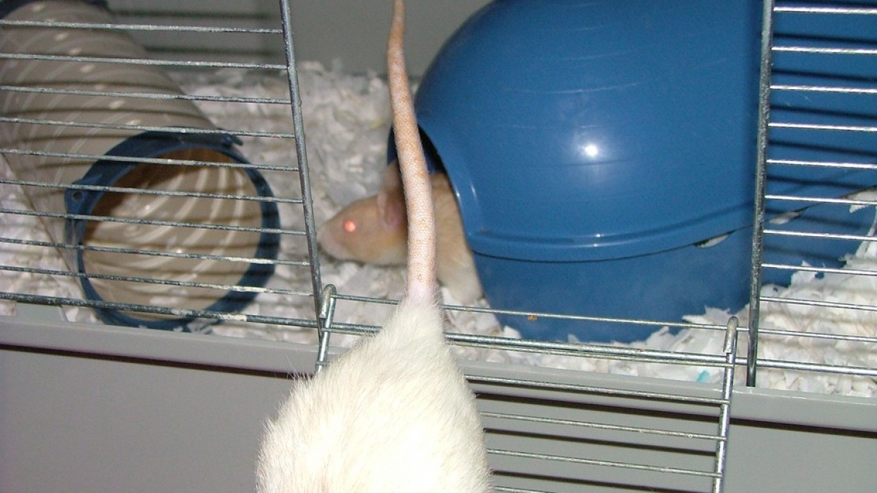 DSCF3150.JPG