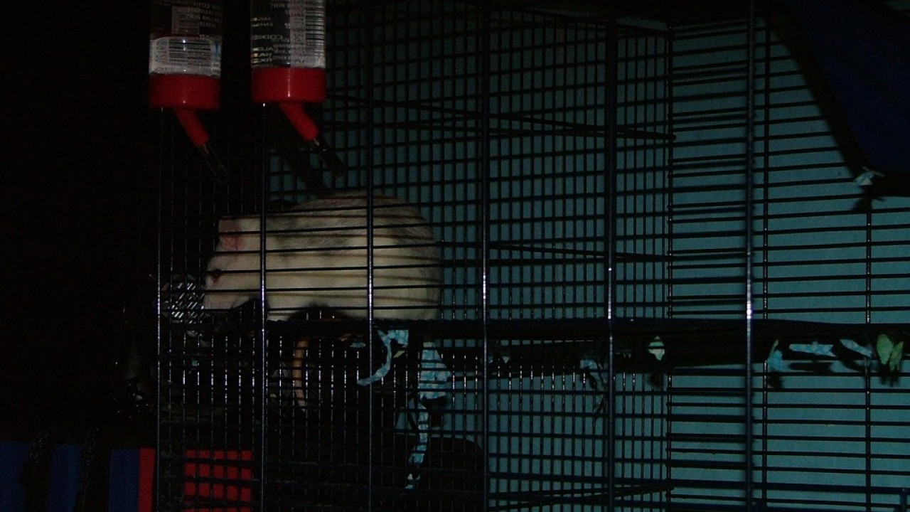 DSCF1840.JPG