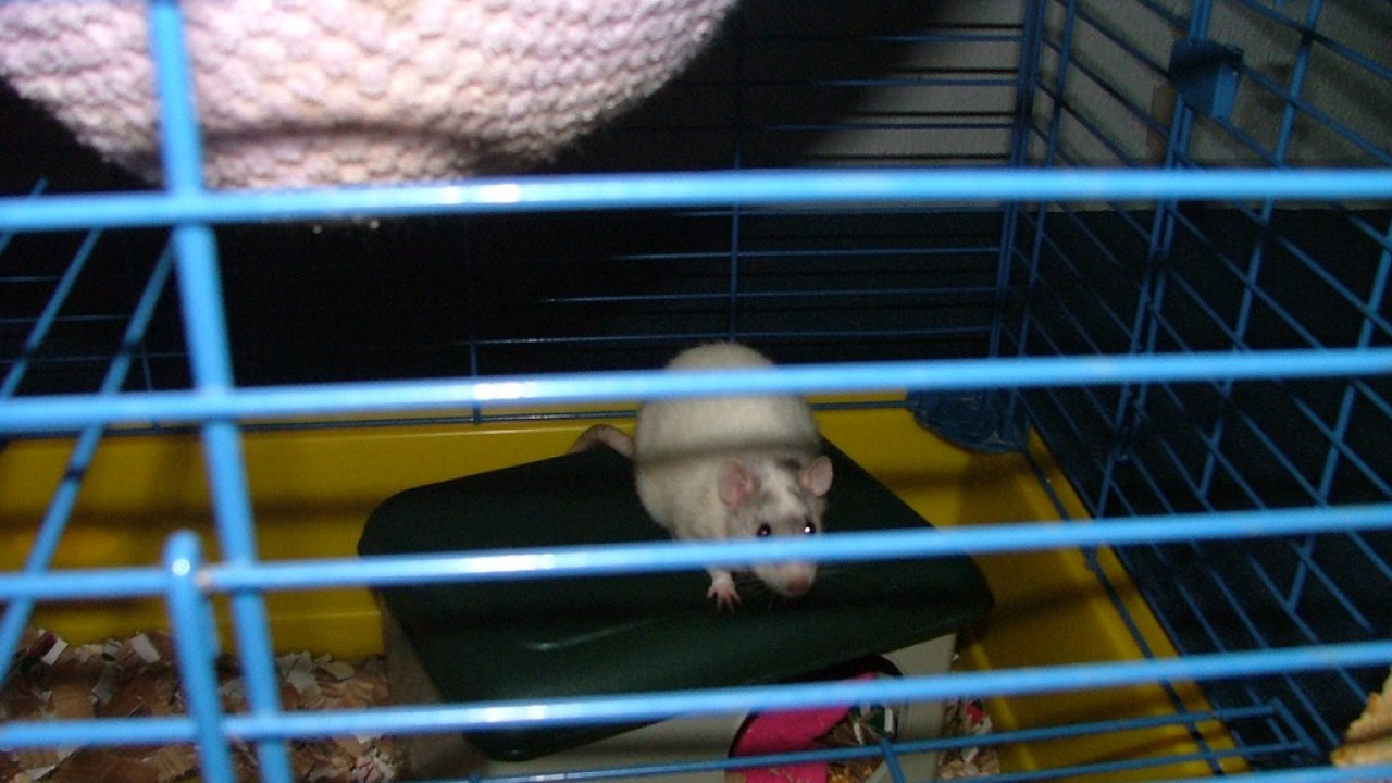 DSCF3879.JPG