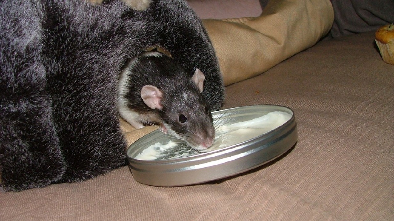 DSCF4747.JPG