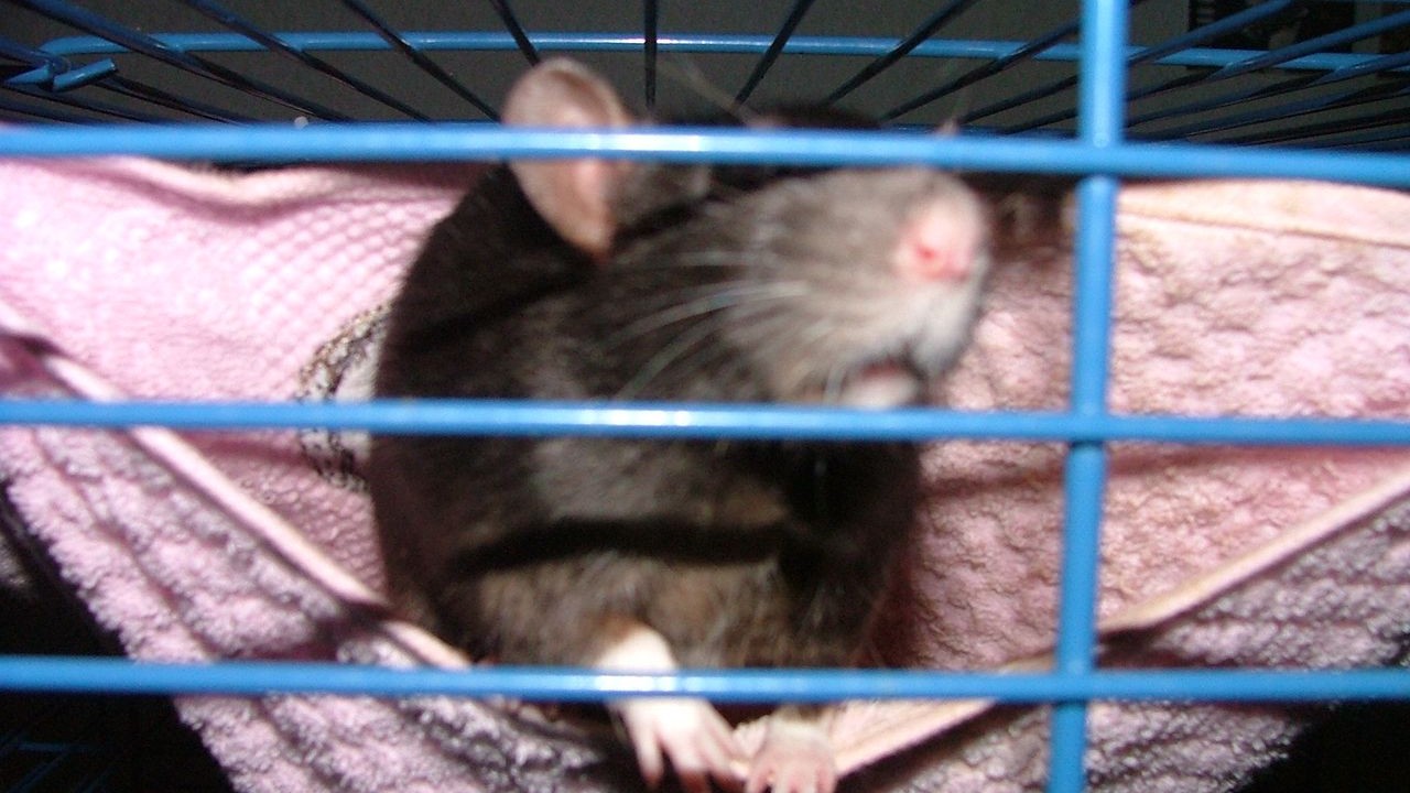 DSCF3888.JPG
