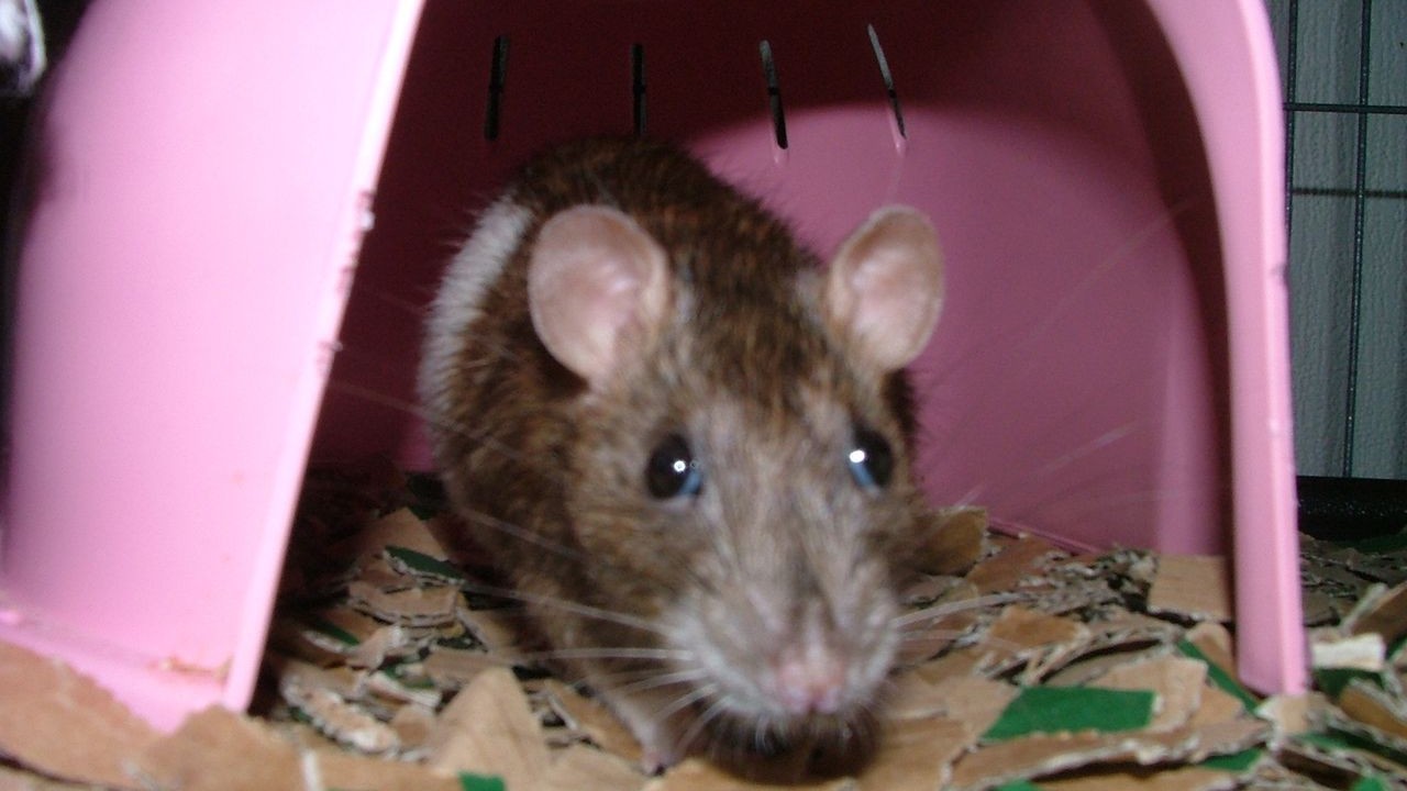 DSCF6598.JPG