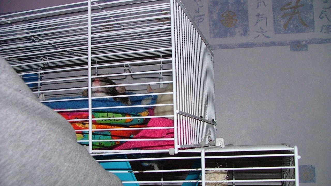 DSCF3868.JPG