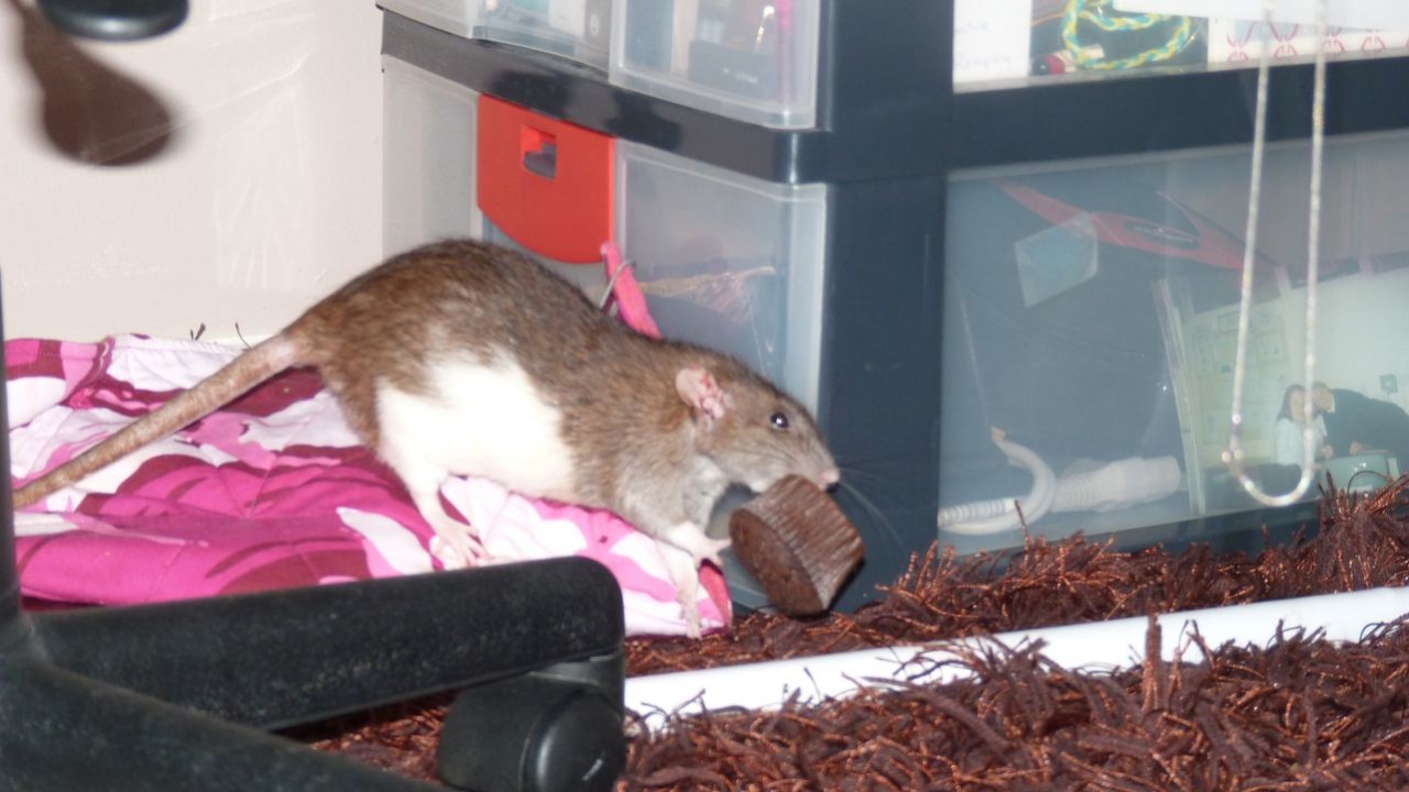 P1020382.JPG