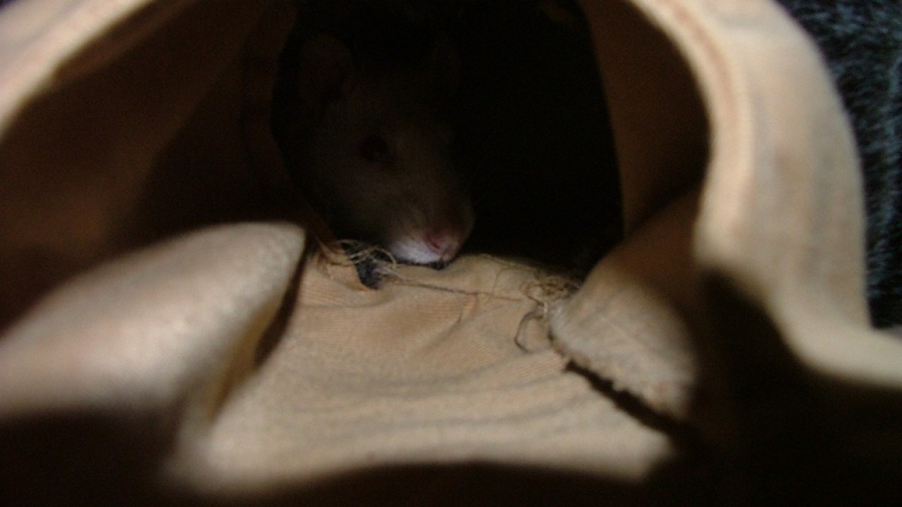 DSCF4751.JPG
