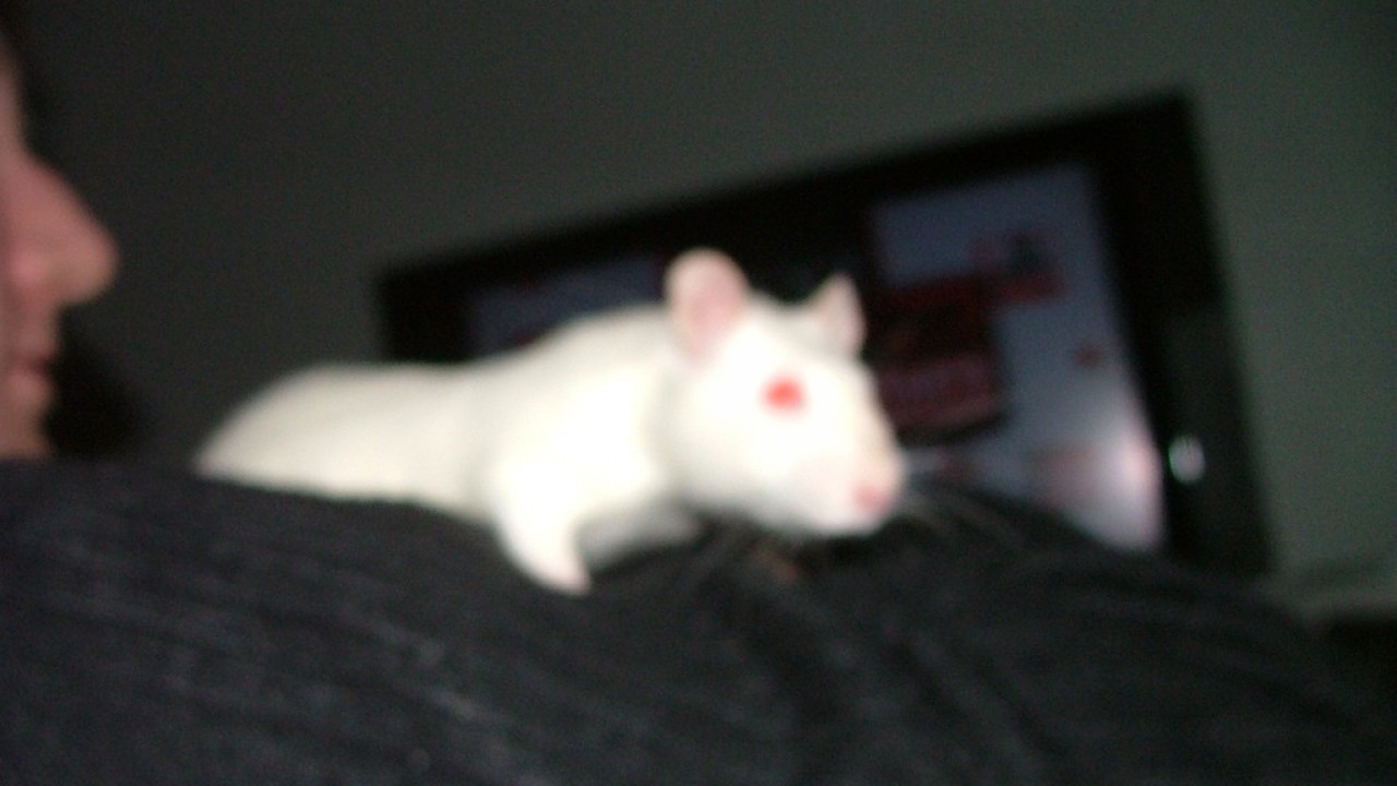 DSCF3885.JPG